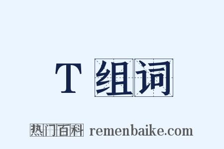 T组词是什么意思的图片